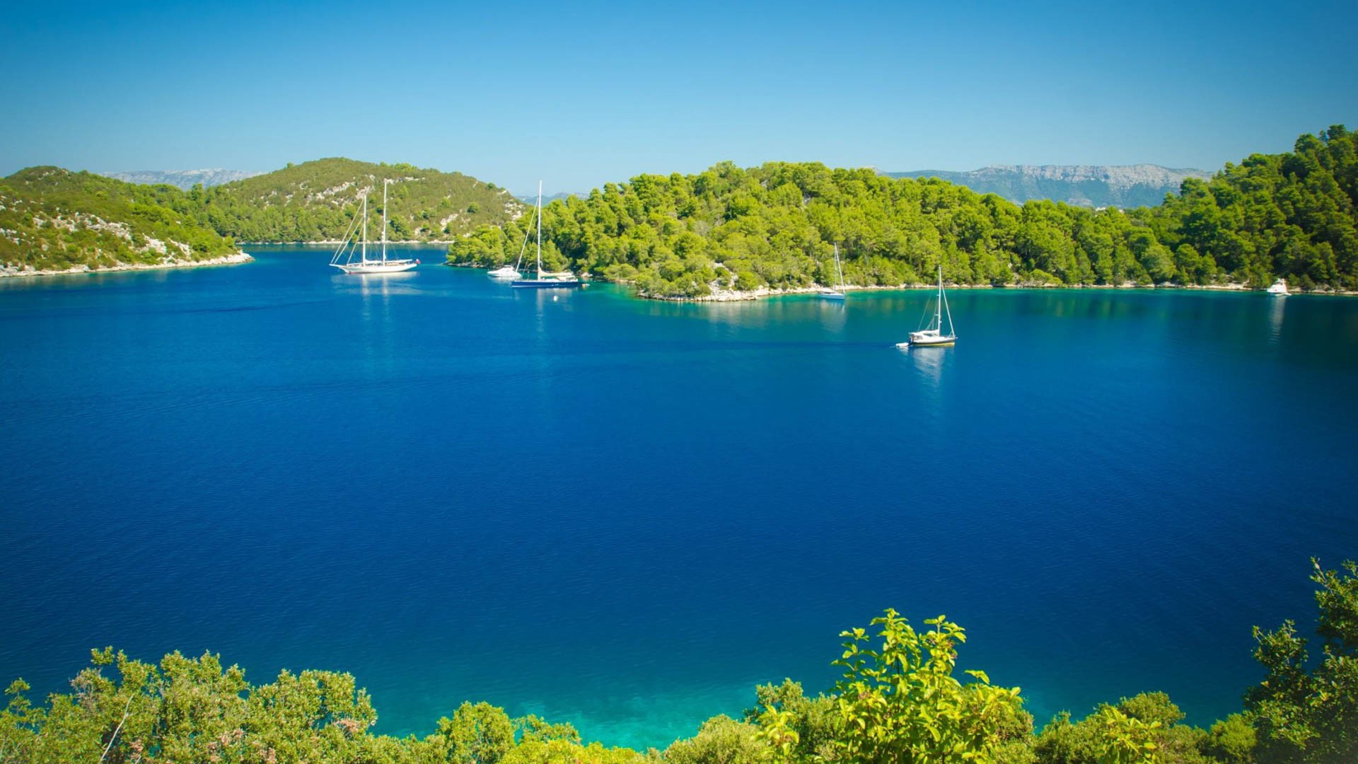 National Park Mljet - Adriatic Sea | Croatia Cruise Croatia Cruise