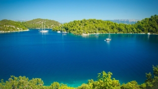 Šipan - Adriatic Sea | Croatia Cruise